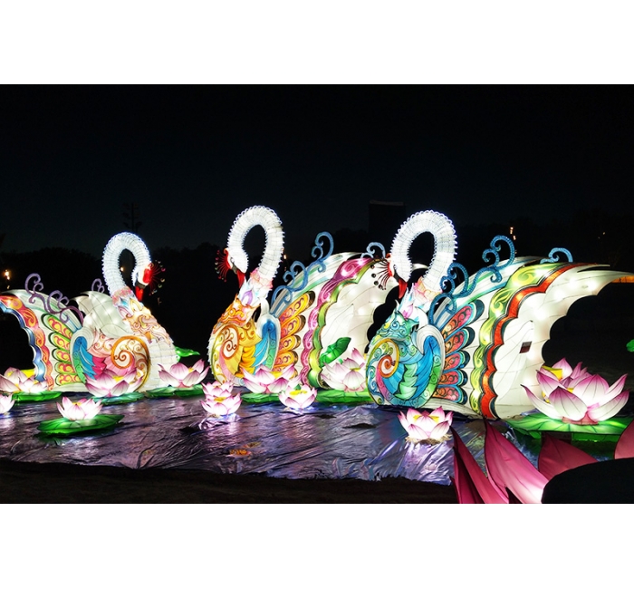 天鹅彩灯